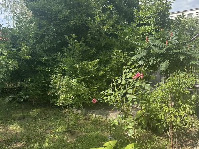 Casă închirieri
