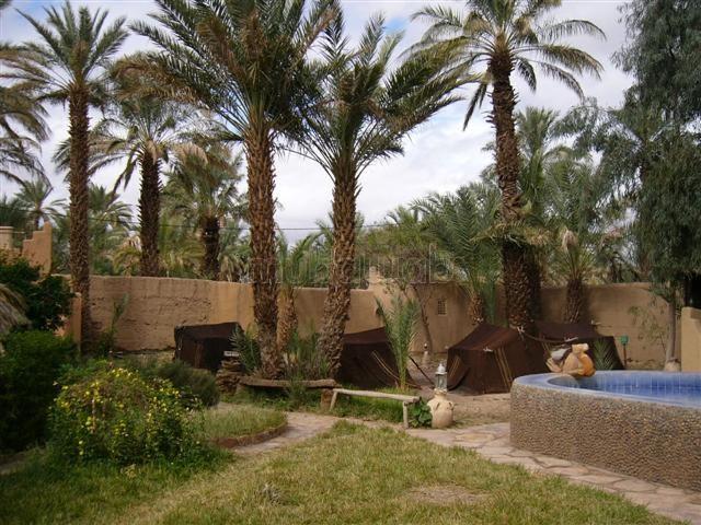 Terrain vente à Zagora