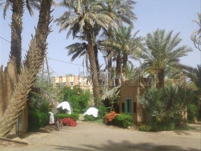 Riad vente à Zagora