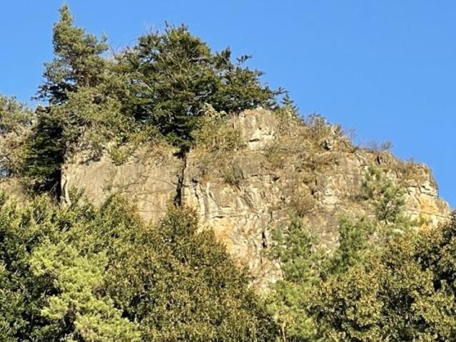 Gewerbe kaufen in Mürlenbach, Landkreis Vulkaneifel