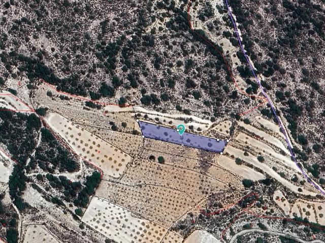 Terreno en venta en Monóvar