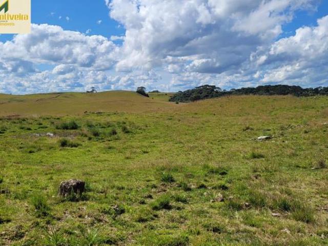 Sítio e chácara venda em Eletra, São Francisco de Paula