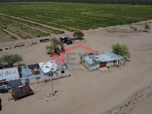Terreno en renta en San Miguel De Horcasitas, Sonora