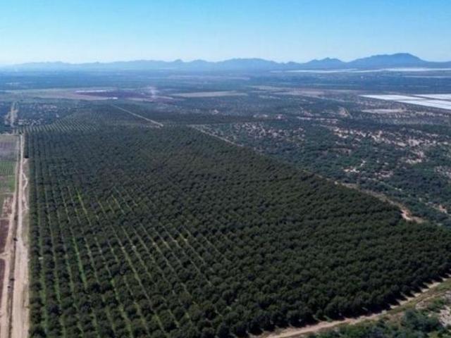 Terreno en venta en San Miguel De Horcasitas, Sonora