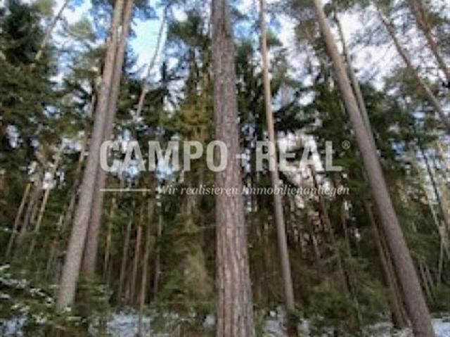 Grundstück kaufen in Oberwart, Burgenland