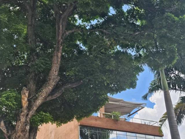 Edificio en alquiler en Sucre