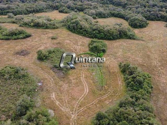 Sítio e chácara venda em Cerrito