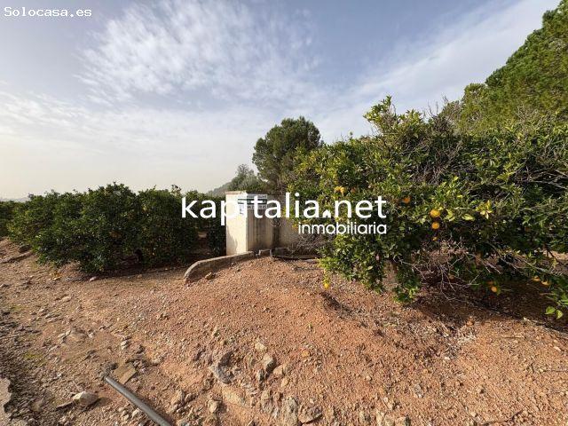 Local Comercial en venta en la Costera, Valencia