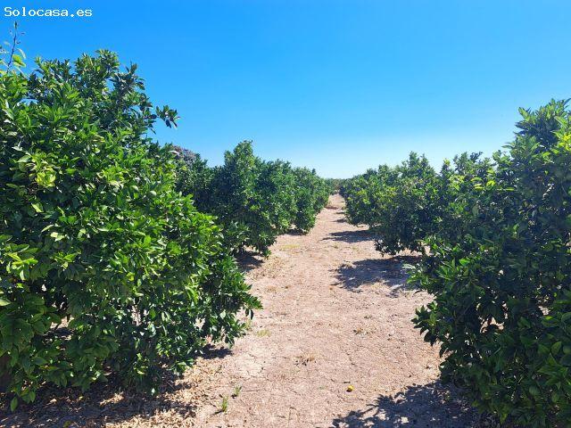 Local Comercial en venta en Cogullada, la Ribera Alta