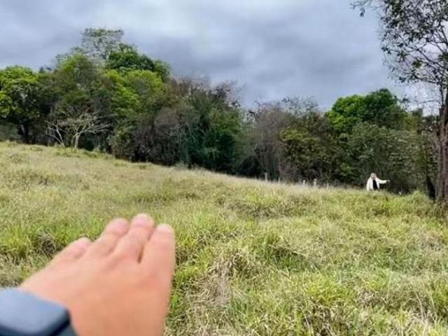 Terreno venda em Paraisópolis