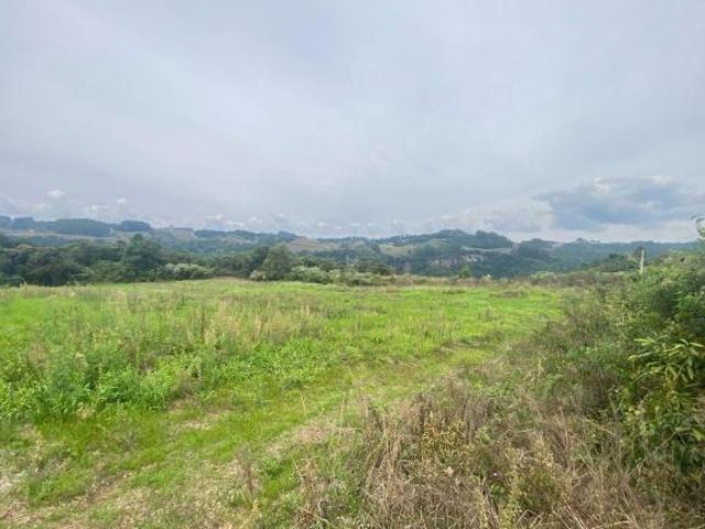 Terreno venda em Região Geográfica Imediata de Caxias do Sul, Flores da Cunha