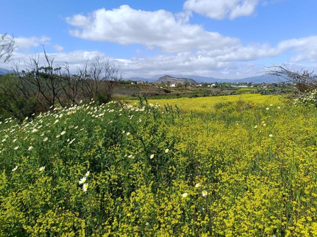 Terreno en venta en Alhaurín El Grande