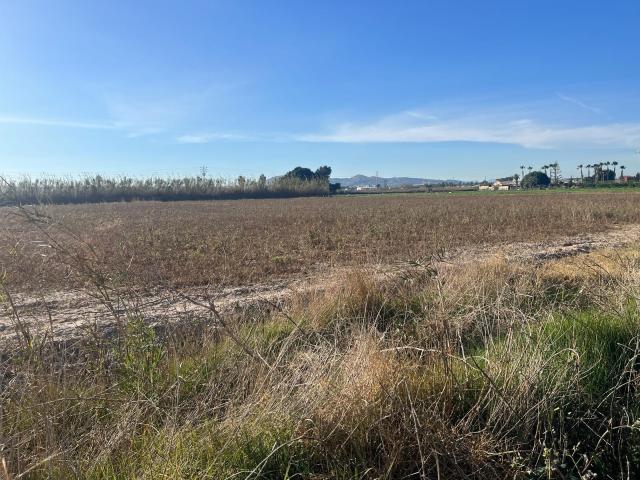 Terreno en venta en Almoradí, Centro