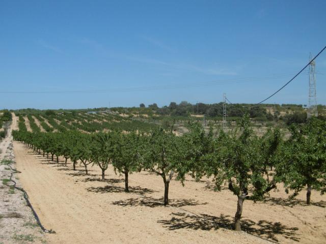 Terreno en venta en Benlloch