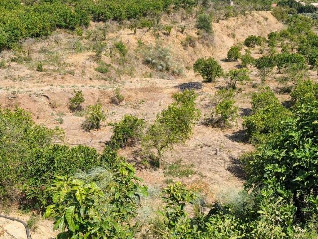 Terreno en venta en Cártama, Puerto Terrón