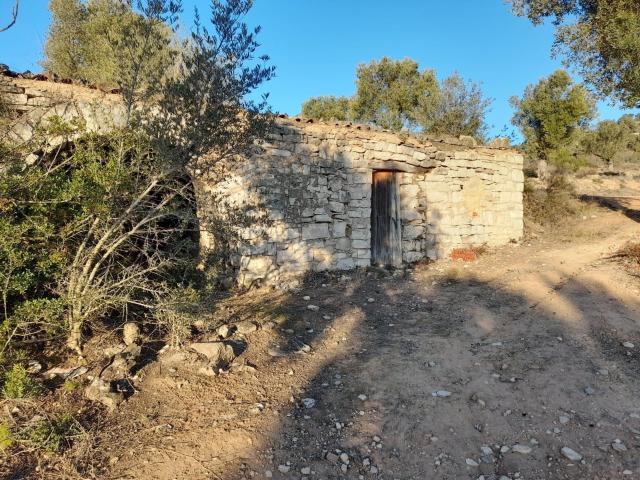 Terreno en venta en Corbera D'ebre, Poble Vell de Corbera d'Ebre