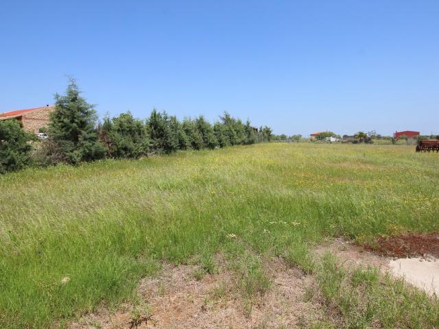 Terreno en venta en Esparragalejo