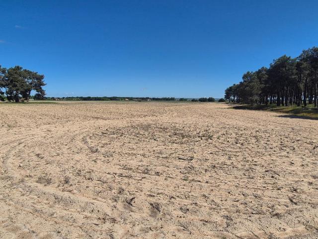 Terreno en venta en La Pedraja De Portillo
