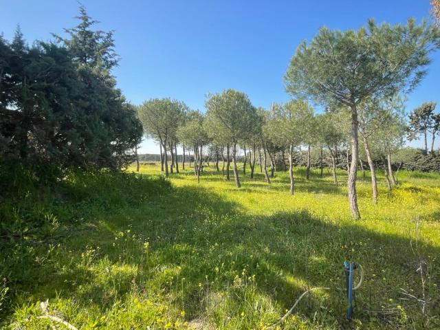 Terreno en venta en Leganés, Campo Claro