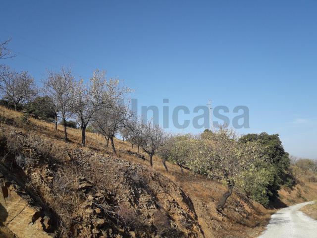 Terreno en venta en Málaga, Barceló Terreno en venta en Málaga, Barceló