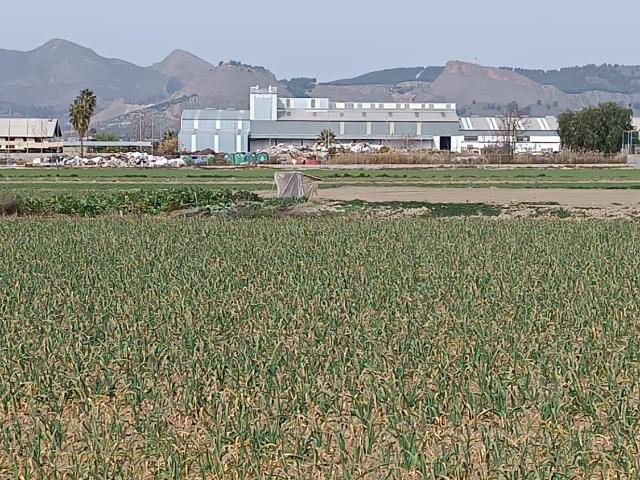 Terreno en venta en Maracena