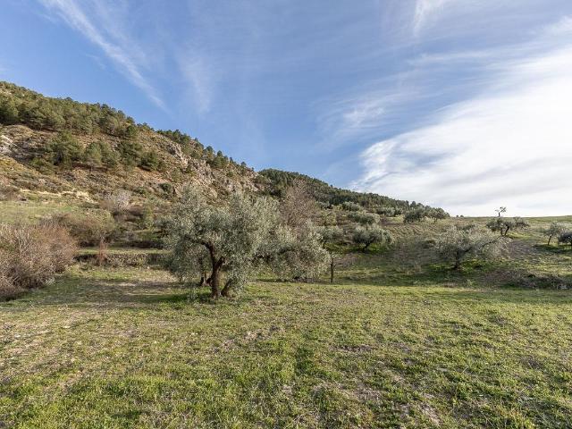 Terreno en venta en Monachil, Barrio de Monachil