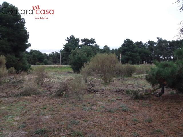 Terreno en venta en Navas De Oro, Comunidad de Villa y Tierra de Coca