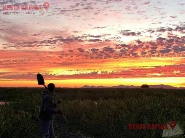 Rancho en venta en Guasave, Sinaloa