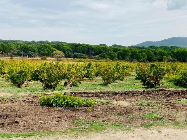 Terreno en venta en San Martín De Valdeiglesias
