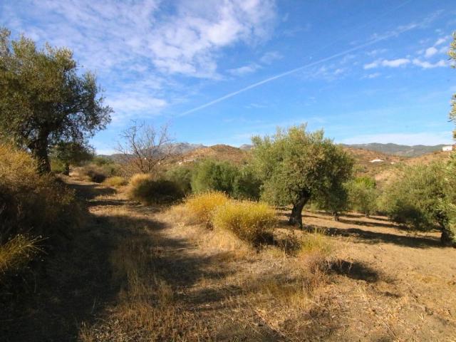 Terreno en venta en Tolox, La Millana