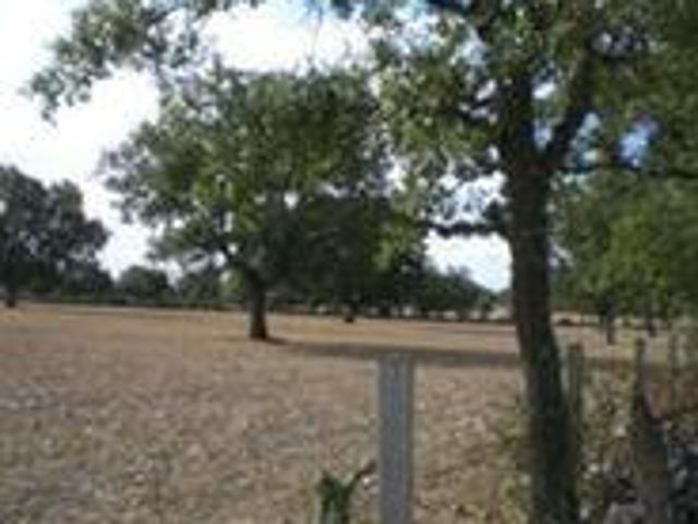 Terreno en venta en Villares De Yeltes