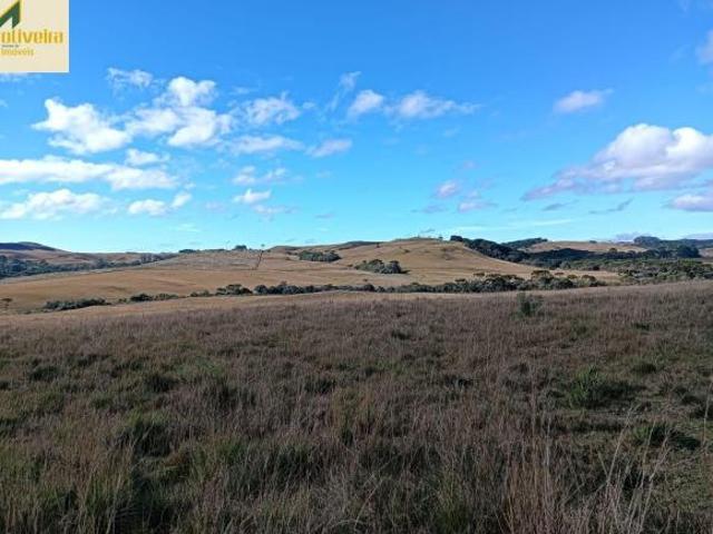 Sítio e chácara venda em Região Geográfica Imediata de Caxias do Sul, Cambara do Sul