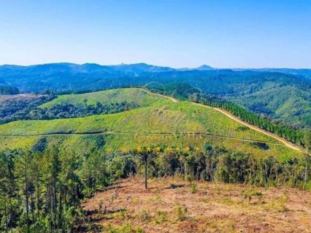 Sítio e chácara venda em Região Geográfica Imediata de Curitiba, Região Metropolitana de Curitiba