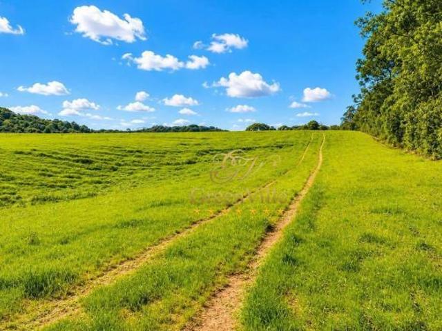 Sítio e chácara venda em Rondinha, Campo Largo