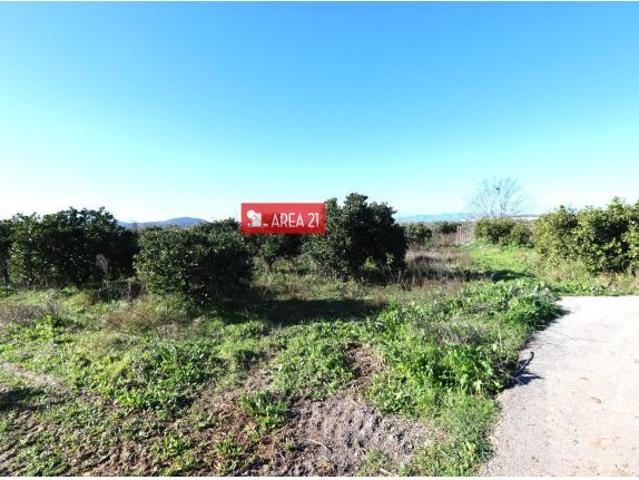 Local Comercial en venta en el Camp de Túria, Valencia