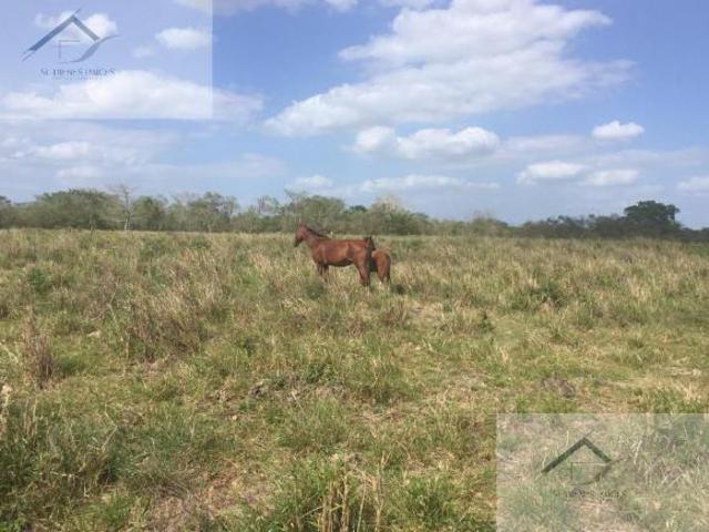 Rancho en venta en Sucilá, Yucatán