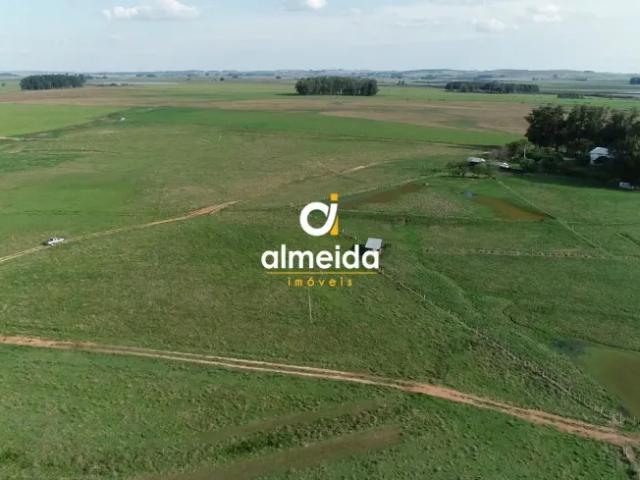 Fazenda venda em Região Geográfica Imediata de Lagoa Vermelha, Tupanci do Sul