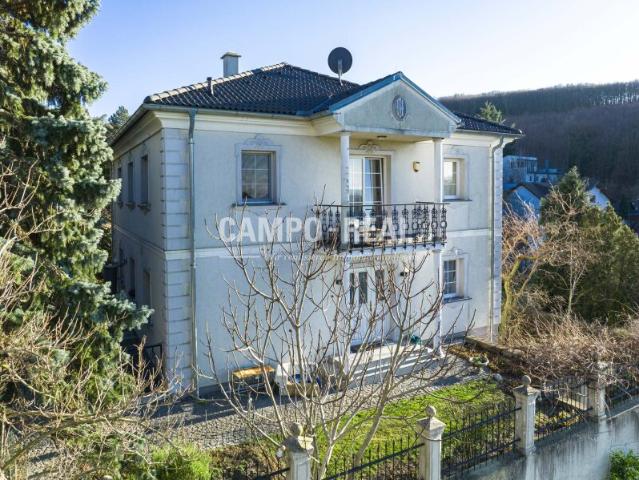 Villa kaufen in Sommerein