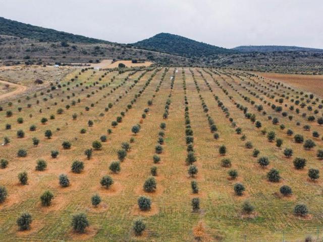 Terreno en venta en La Serranía, Valencia