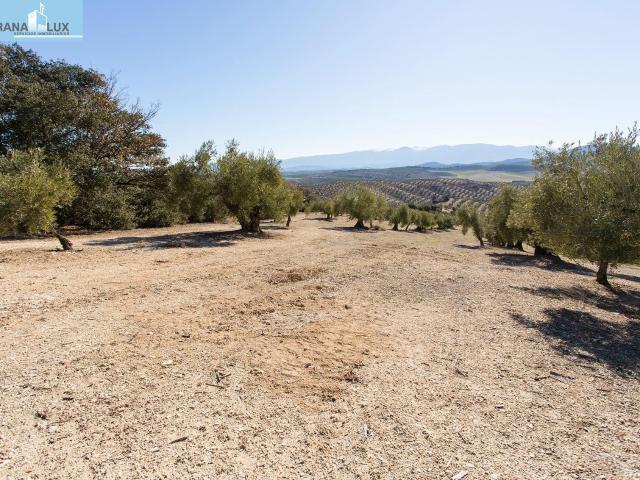 Casa en venta en Comarca de Los Montes, Andalucía