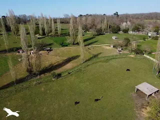 Maison vente à Périgueux, Campsegret