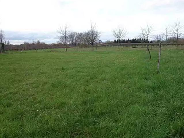 Terrain vente à France métropolitaine, Campugnan