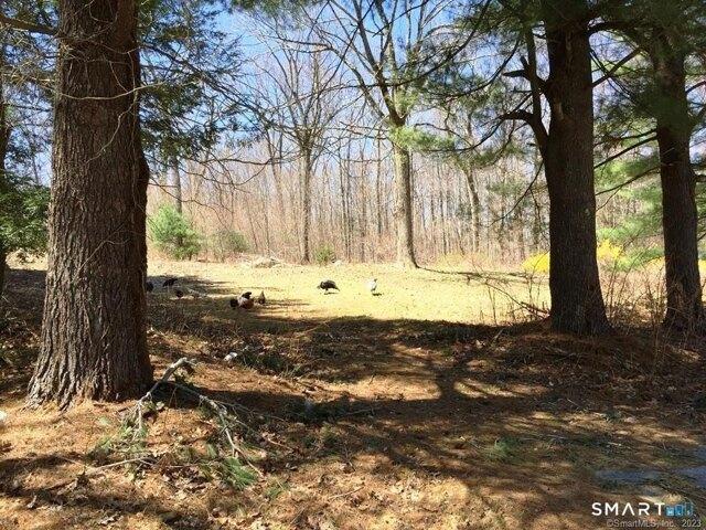 Land for sale in Litchfield, Northwest Hills Planning Region