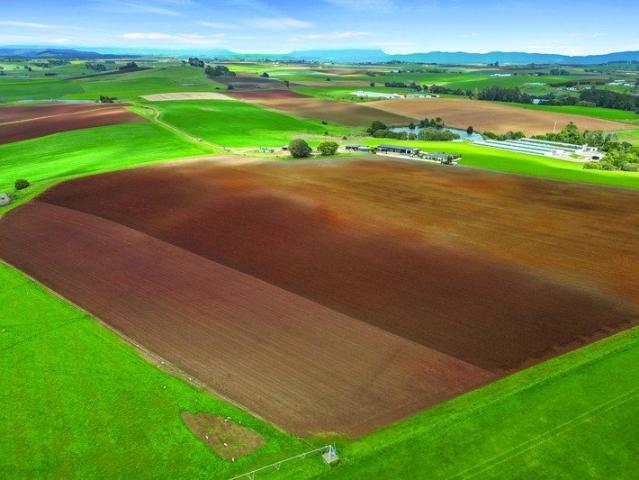 Cottage for sale in Sassafras, Tasmania