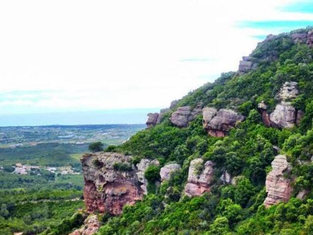 Casa en alquiler en Alt Penedès, Catalunya