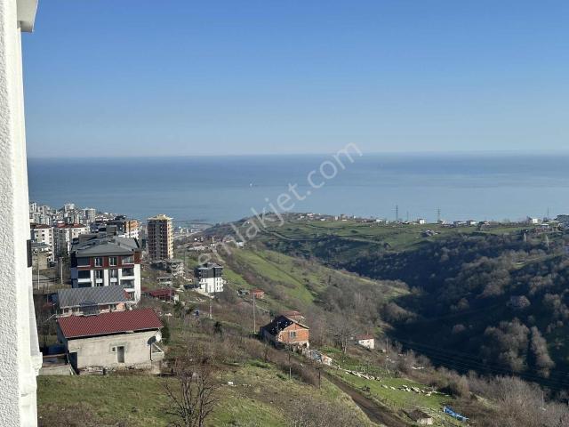 Canik, Samsun içerisinde kiralık mülk