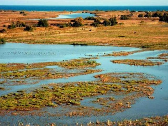 Casa en alquiler en Alt Empordà, Catalunya
