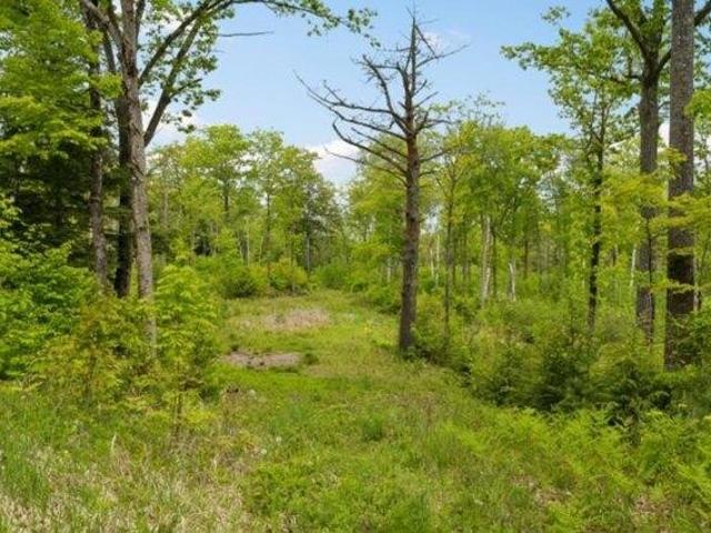 Land for sale in New Hampshire