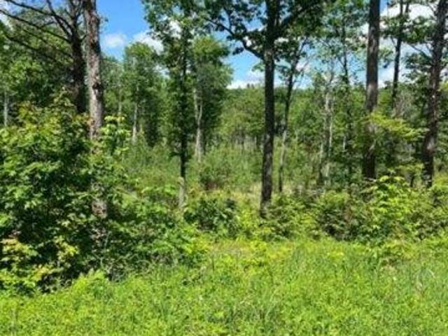 Land for sale in New Hampshire