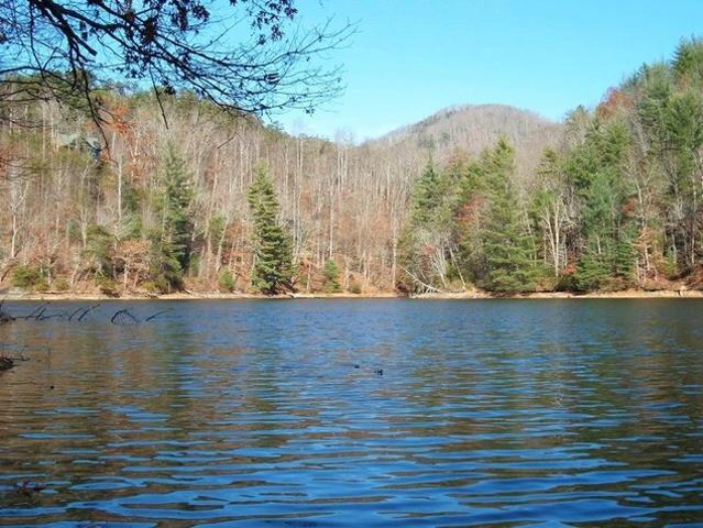 Land for sale in Tuckasegee, North Carolina